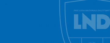 Consiglio Direttivo della LND: ammissioni ai campionati nazionali e bozza di protocollo sanitario