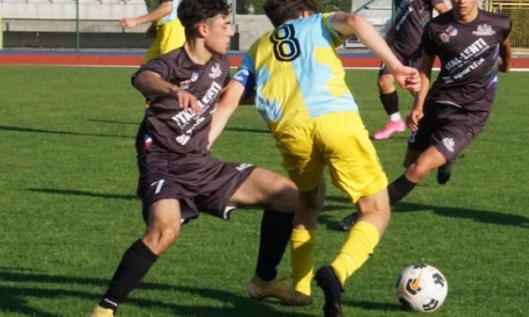 Juniores Under 19, i provvedimenti del Giudice Sportivo