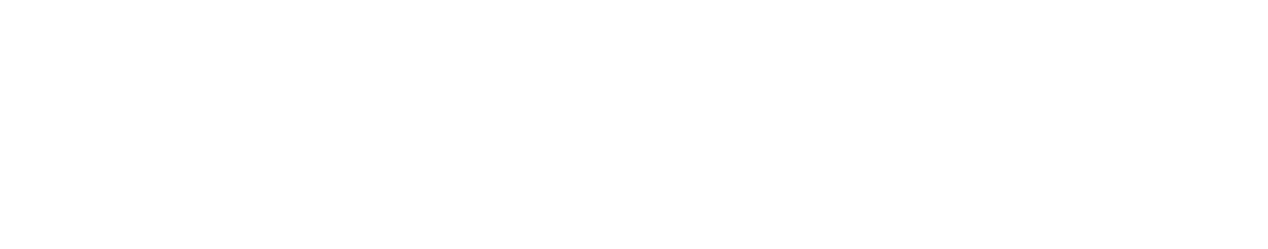 logo_serieaon.png