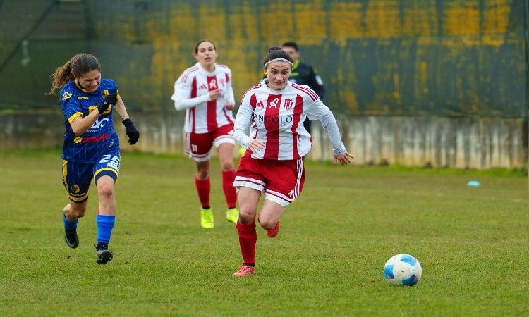 Serie C: al via con la prima del girone di ritorno. Real Vicenza-Academy Calcio Pavia in diretta streaming su YouTube