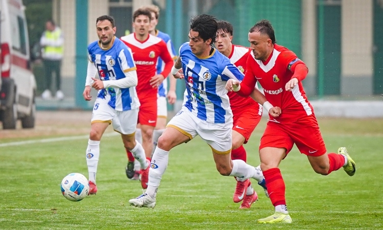 Serie D, il 25 marzo cinque recuperi della 27ª giornata