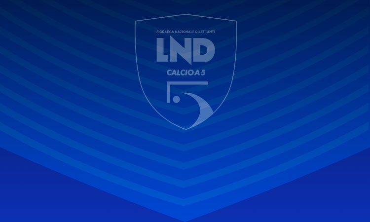 Divisione Calcio a 5: il 5 maggio convocata l'Assemblea Straordinaria