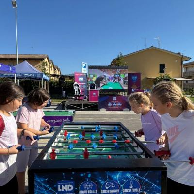 Vivilosport 2025 2 00002