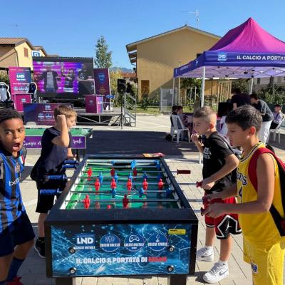 Vivilosport 2025 2 00005