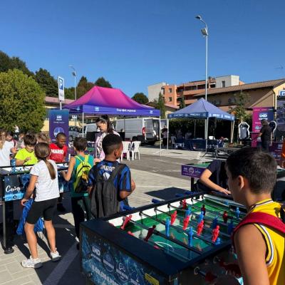 Vivilosport 2025 2 00006