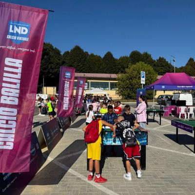 Vivilosport 2025 2 00011